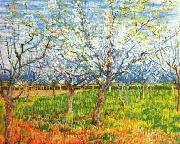 Vincent Van Gogh Orchard in Blossom oil on canvas